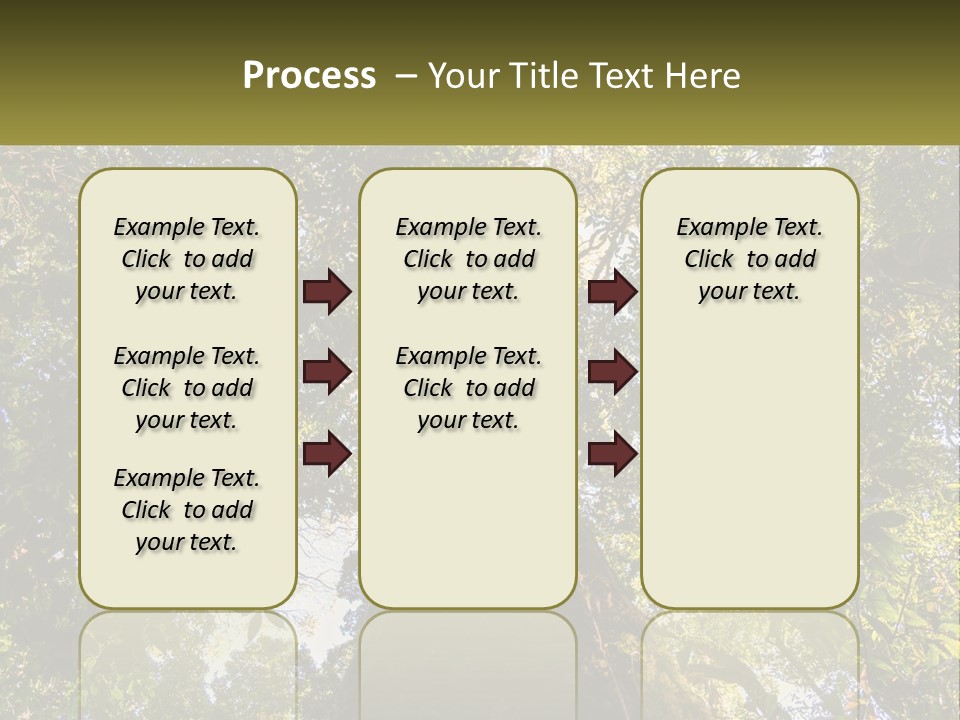 A Large Tree In The Middle Of A Forest PowerPoint Template