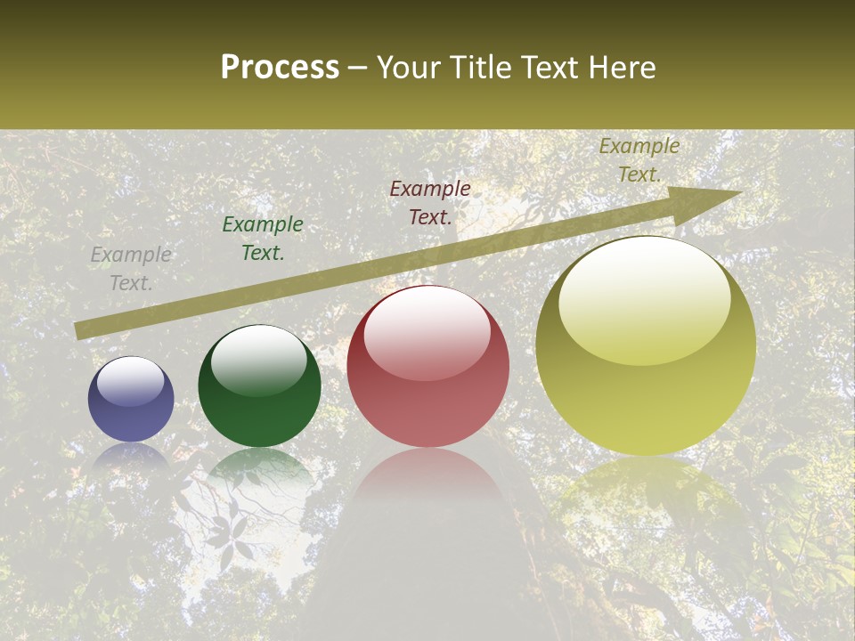 A Large Tree In The Middle Of A Forest PowerPoint Template