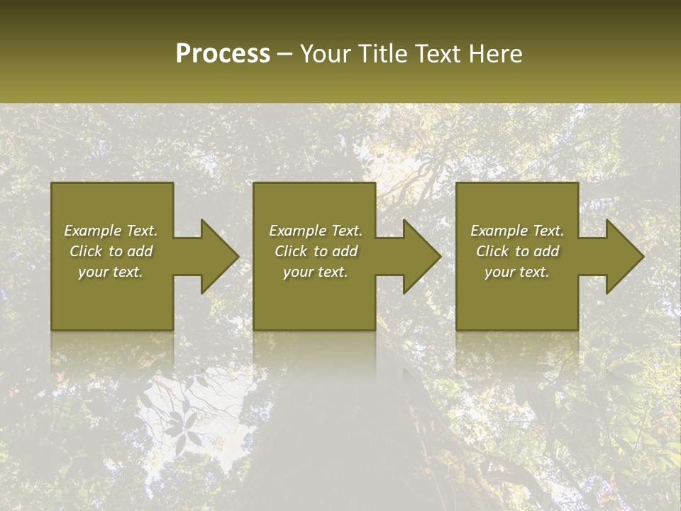 A Large Tree In The Middle Of A Forest PowerPoint Template