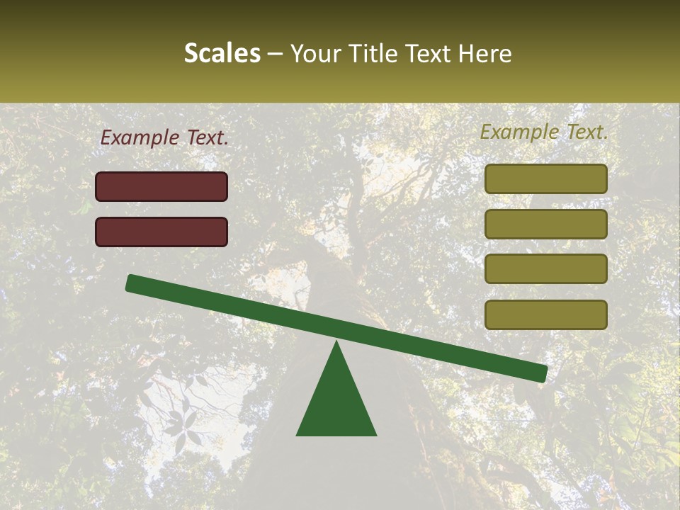 A Large Tree In The Middle Of A Forest PowerPoint Template
