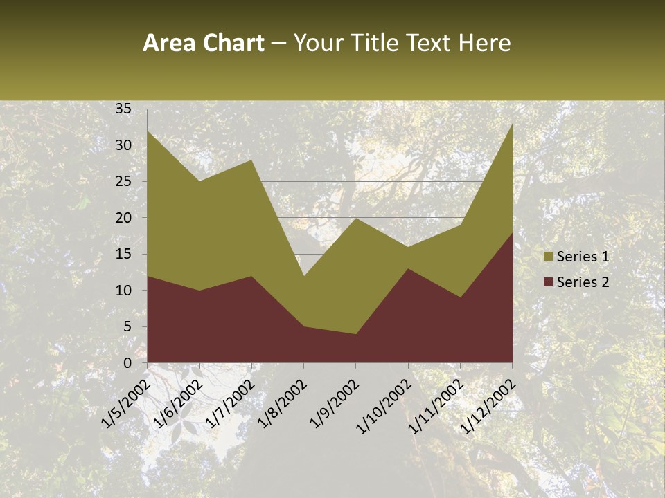 A Large Tree In The Middle Of A Forest PowerPoint Template