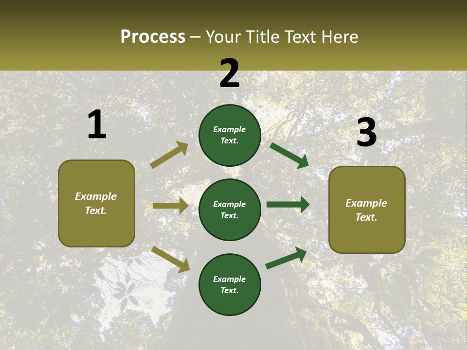A Large Tree In The Middle Of A Forest PowerPoint Template