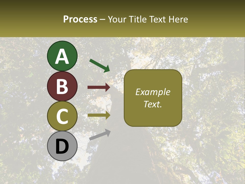 A Large Tree In The Middle Of A Forest PowerPoint Template