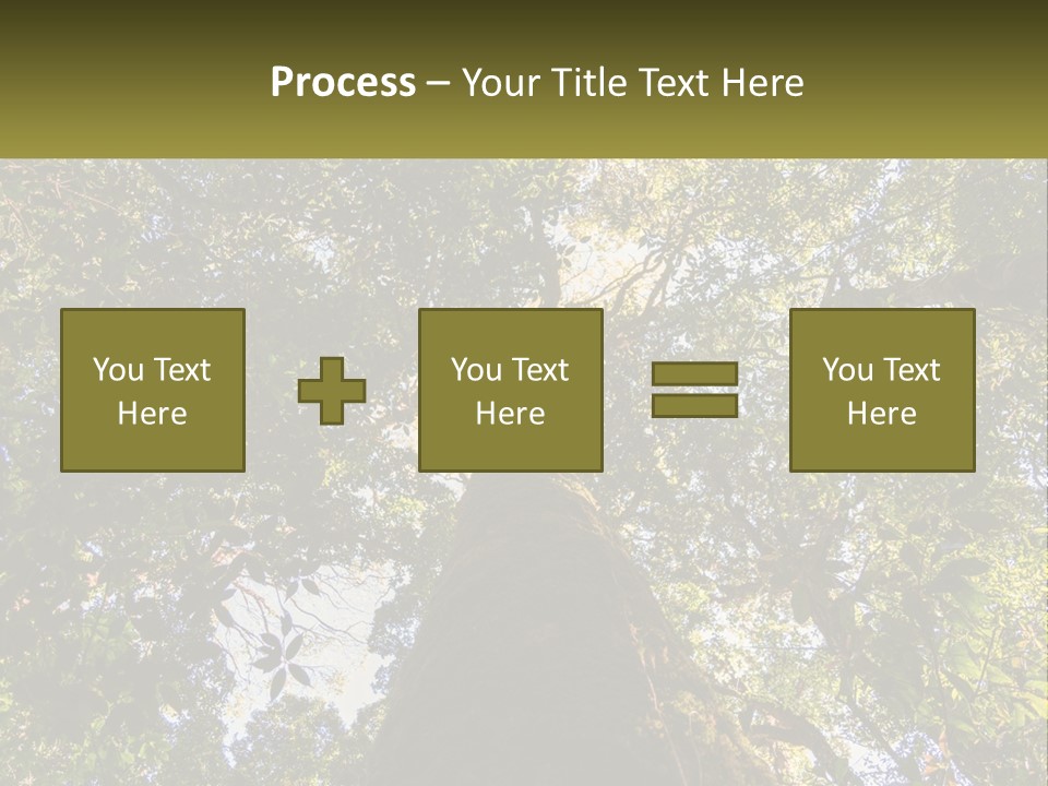 A Large Tree In The Middle Of A Forest PowerPoint Template
