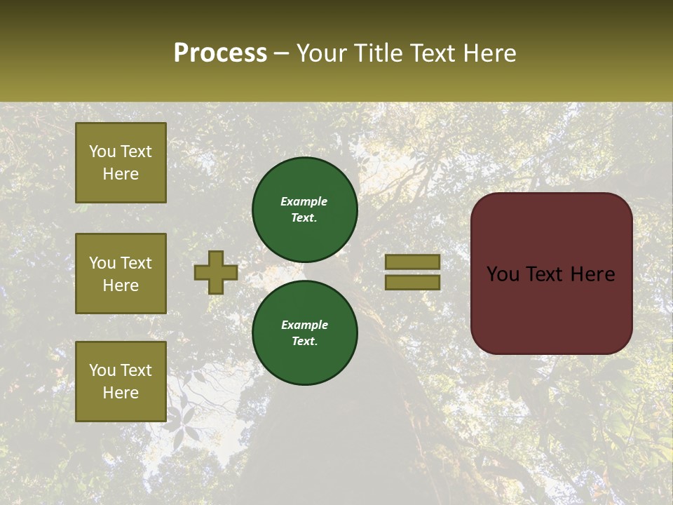 A Large Tree In The Middle Of A Forest PowerPoint Template