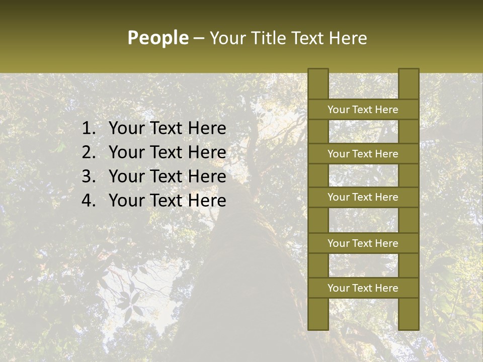 A Large Tree In The Middle Of A Forest PowerPoint Template