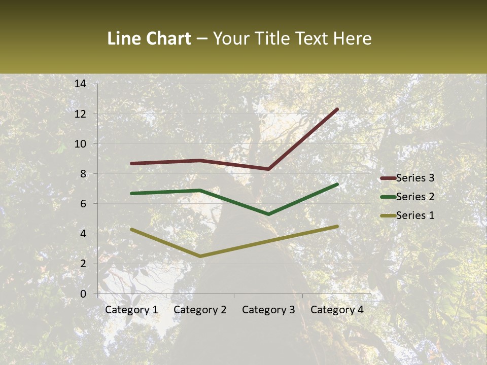 A Large Tree In The Middle Of A Forest PowerPoint Template