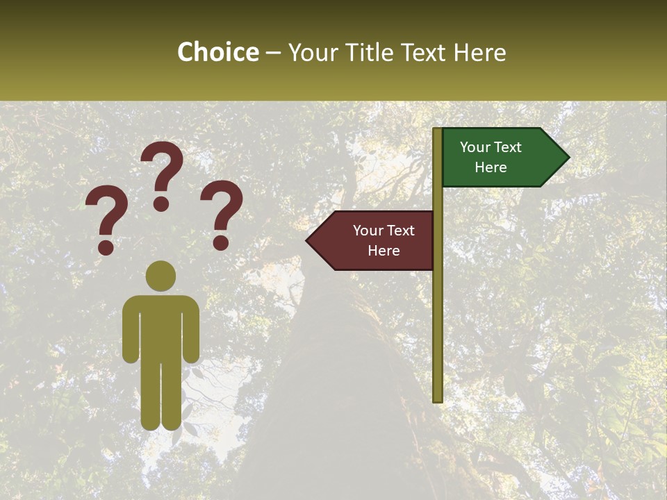 A Large Tree In The Middle Of A Forest PowerPoint Template