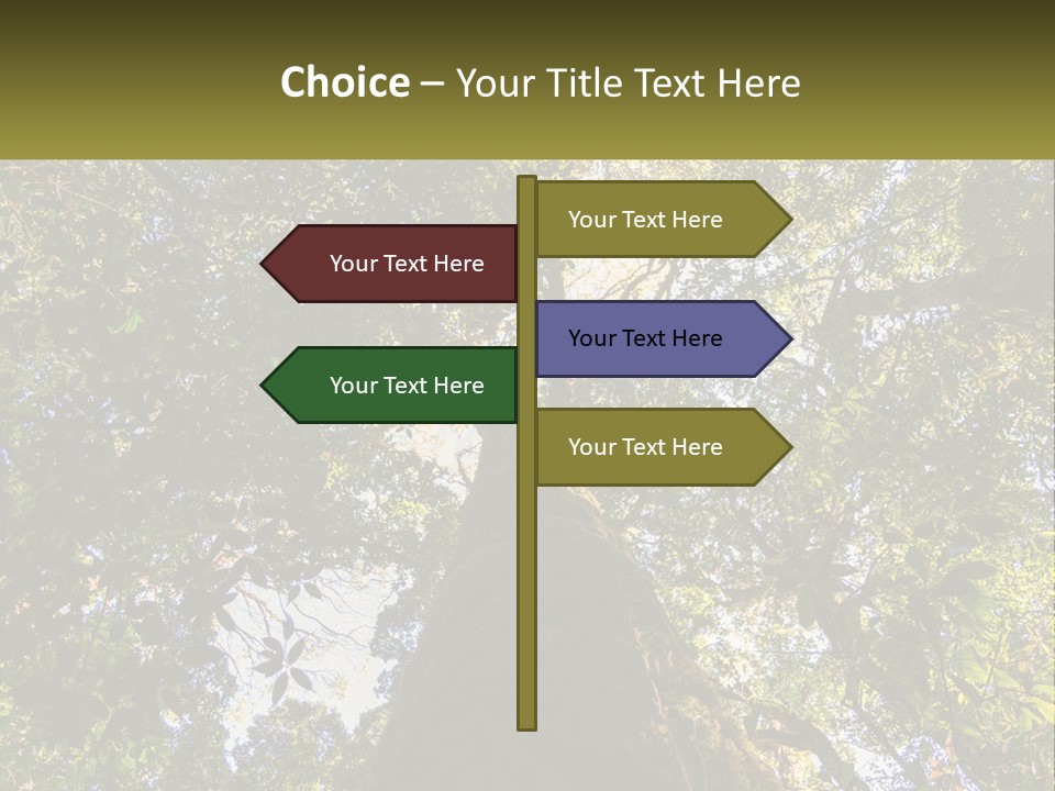 A Large Tree In The Middle Of A Forest PowerPoint Template