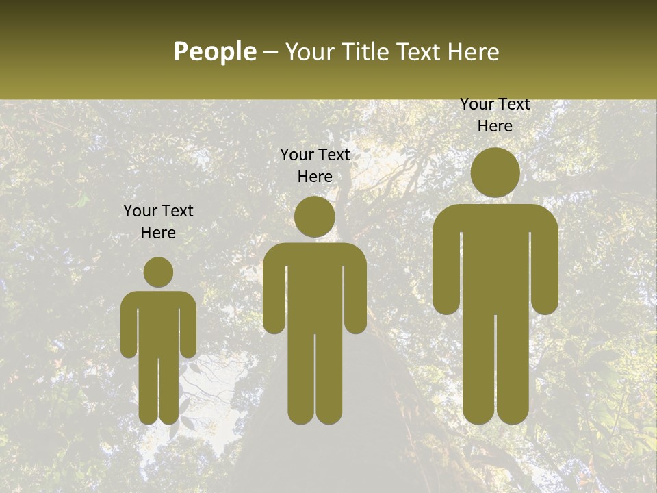 A Large Tree In The Middle Of A Forest PowerPoint Template