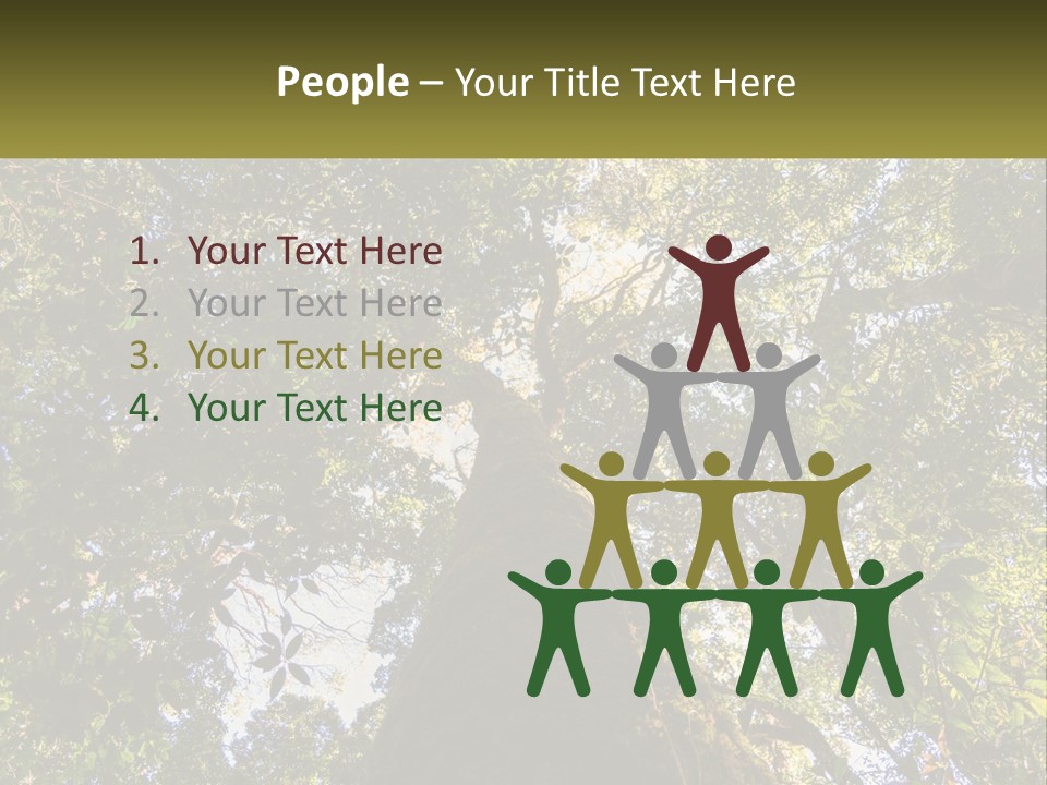 A Large Tree In The Middle Of A Forest PowerPoint Template