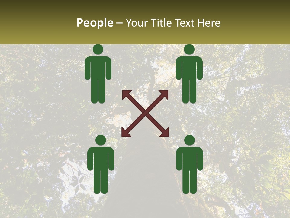 A Large Tree In The Middle Of A Forest PowerPoint Template