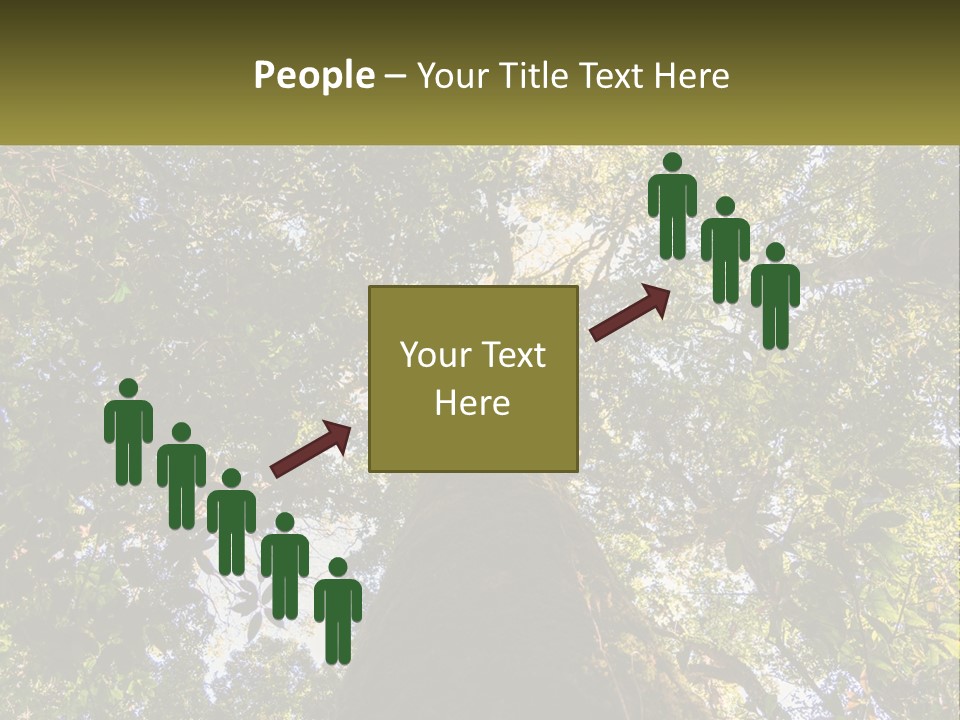 A Large Tree In The Middle Of A Forest PowerPoint Template