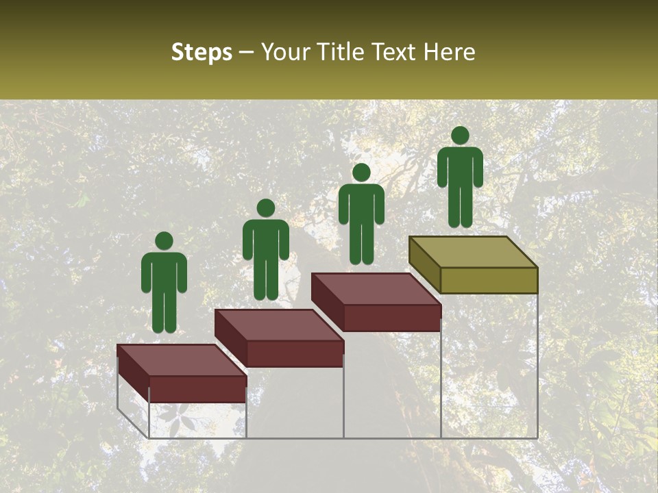 A Large Tree In The Middle Of A Forest PowerPoint Template