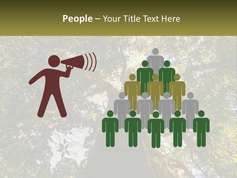 A Large Tree In The Middle Of A Forest PowerPoint Template