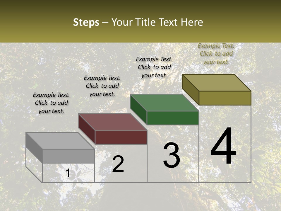 A Large Tree In The Middle Of A Forest PowerPoint Template