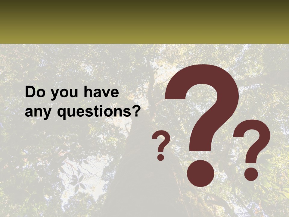 A Large Tree In The Middle Of A Forest PowerPoint Template