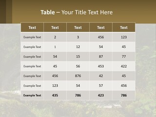 A Waterfall In The Middle Of A Lush Green Forest PowerPoint Template