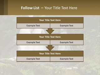 A Waterfall In The Middle Of A Lush Green Forest PowerPoint Template