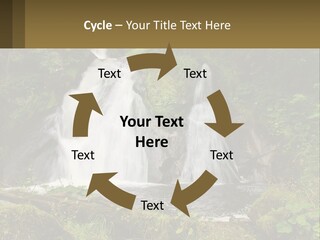 A Waterfall In The Middle Of A Lush Green Forest PowerPoint Template