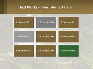 A Waterfall In The Middle Of A Lush Green Forest PowerPoint Template