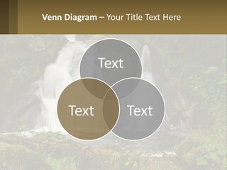 A Waterfall In The Middle Of A Lush Green Forest PowerPoint Template