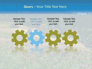 A House In The Middle Of A Field With Trees In The Background PowerPoint Template
