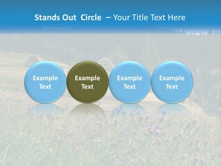 A House In The Middle Of A Field With Trees In The Background PowerPoint Template