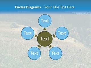A House In The Middle Of A Field With Trees In The Background PowerPoint Template