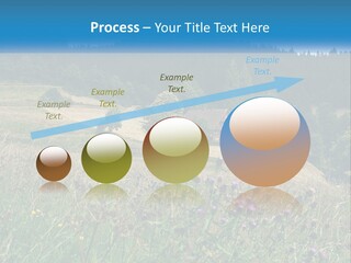 A House In The Middle Of A Field With Trees In The Background PowerPoint Template