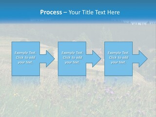 A House In The Middle Of A Field With Trees In The Background PowerPoint Template