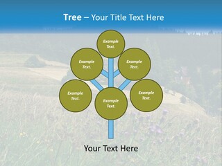 A House In The Middle Of A Field With Trees In The Background PowerPoint Template