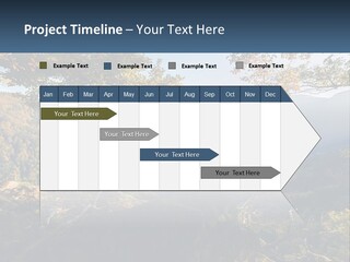 A Scenic View Of A Valley With Trees And Mountains In The Background PowerPoint Template