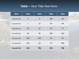 A Scenic View Of A Valley With Trees And Mountains In The Background PowerPoint Template