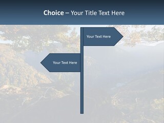 A Scenic View Of A Valley With Trees And Mountains In The Background PowerPoint Template