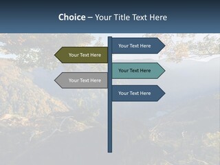A Scenic View Of A Valley With Trees And Mountains In The Background PowerPoint Template
