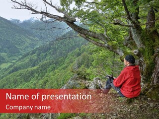 A Man Sitting On Top Of A Mountain Next To A Tree PowerPoint Template