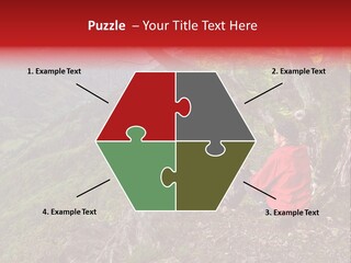 A Man Sitting On Top Of A Mountain Next To A Tree PowerPoint Template