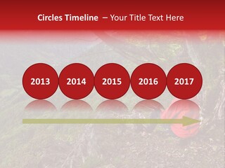 A Man Sitting On Top Of A Mountain Next To A Tree PowerPoint Template