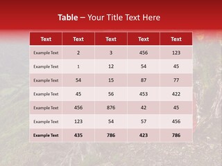 A Man Sitting On Top Of A Mountain Next To A Tree PowerPoint Template