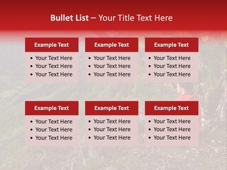 A Man Sitting On Top Of A Mountain Next To A Tree PowerPoint Template