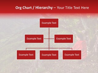 A Man Sitting On Top Of A Mountain Next To A Tree PowerPoint Template