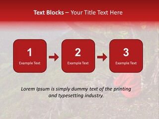A Man Sitting On Top Of A Mountain Next To A Tree PowerPoint Template