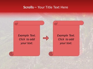 A Man Sitting On Top Of A Mountain Next To A Tree PowerPoint Template