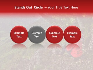 A Man Sitting On Top Of A Mountain Next To A Tree PowerPoint Template