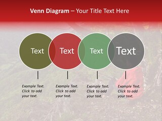 A Man Sitting On Top Of A Mountain Next To A Tree PowerPoint Template