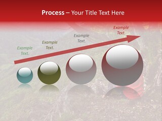 A Man Sitting On Top Of A Mountain Next To A Tree PowerPoint Template