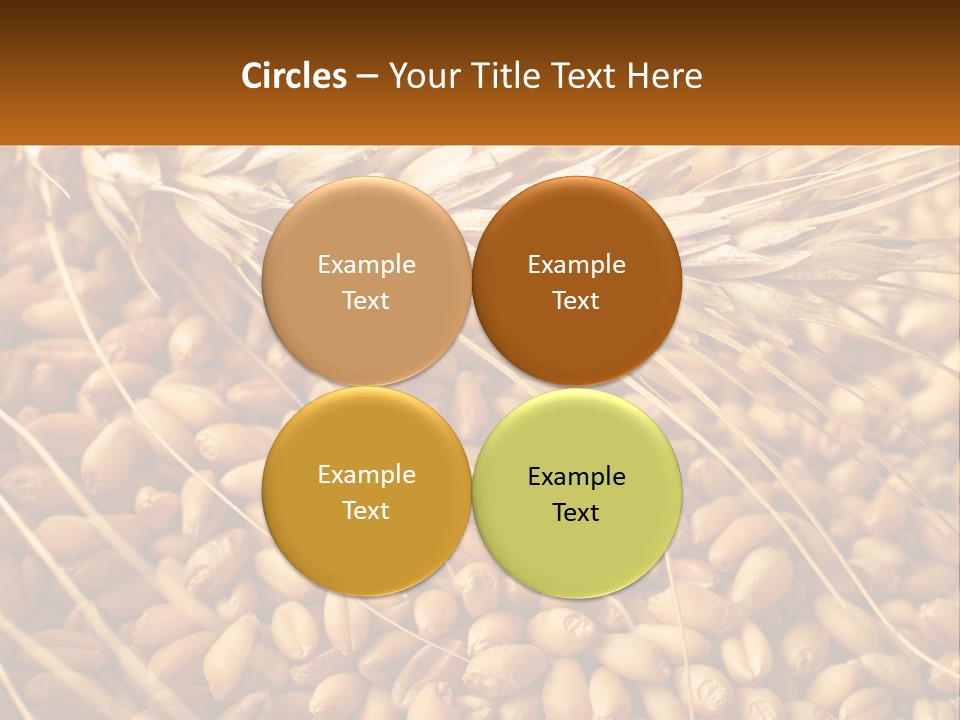 A Pile Of Wheat With The Words Name Of Presentation On It PowerPoint Template