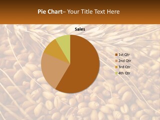 A Pile Of Wheat With The Words Name Of Presentation On It PowerPoint Template