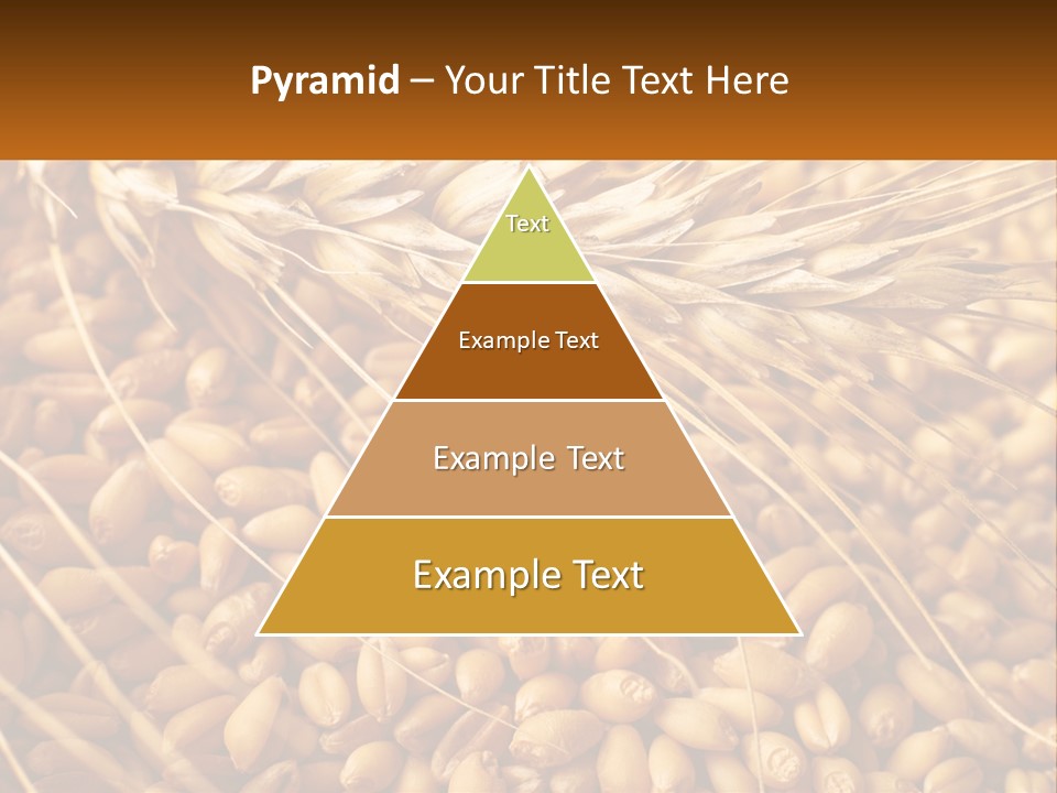 A Pile Of Wheat With The Words Name Of Presentation On It PowerPoint Template